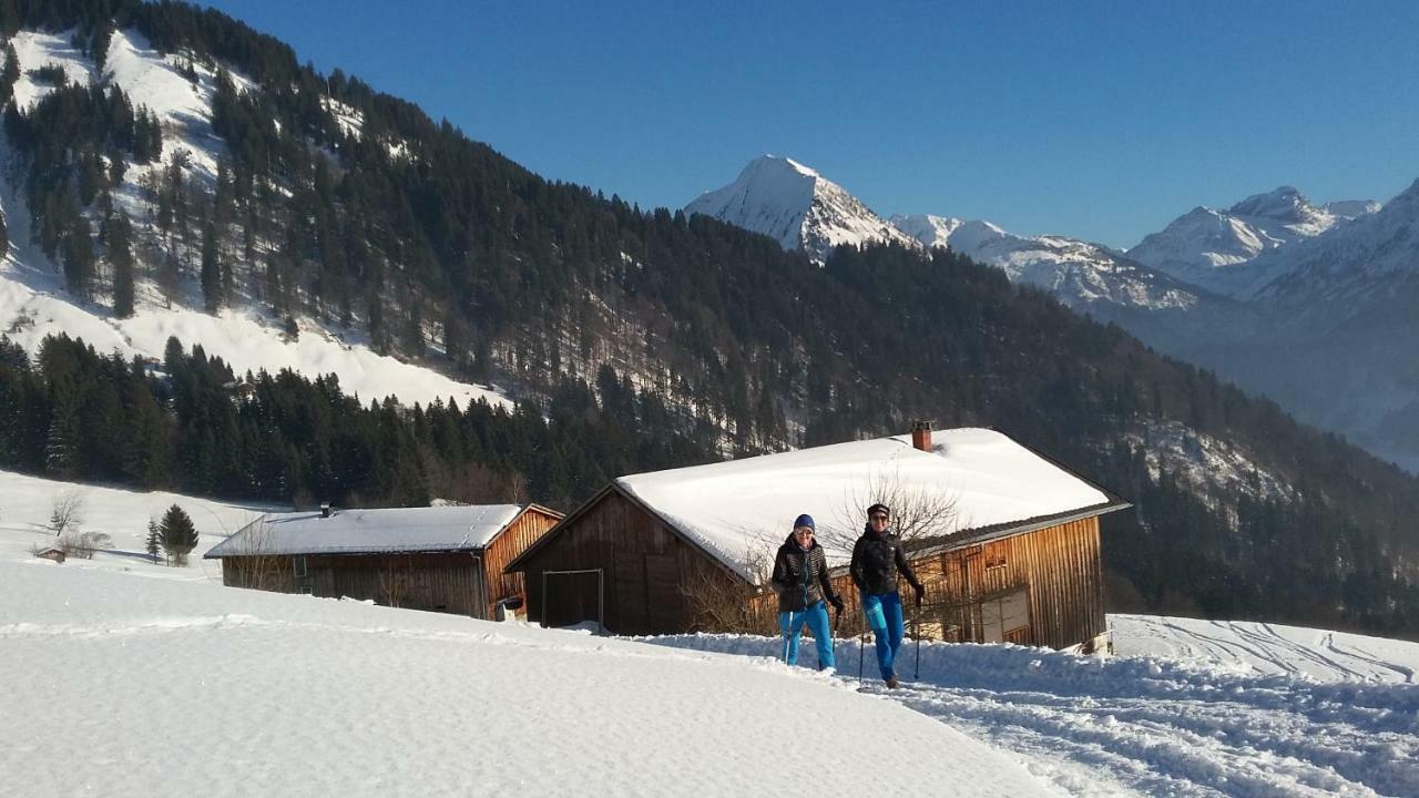 Haus Stabentheiner Daire Au (Vorarlberg) Dış mekan fotoğraf