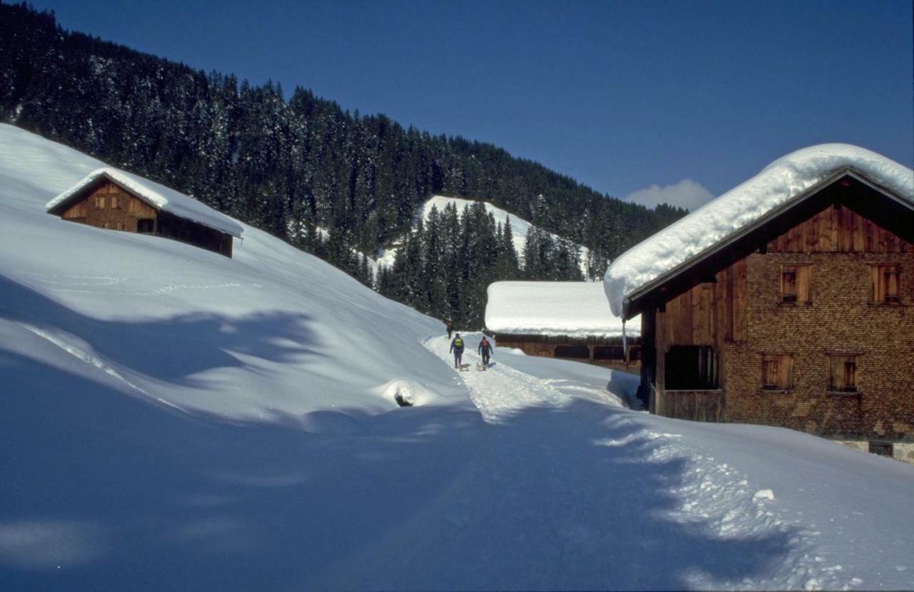 Haus Stabentheiner Daire Au (Vorarlberg) Dış mekan fotoğraf